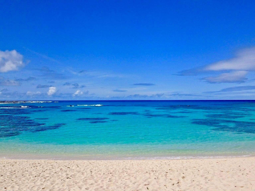 土盛海岸