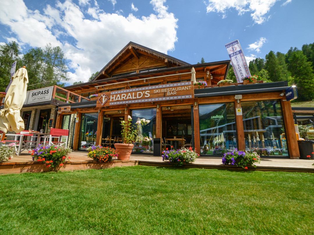 Harald's Restaurant