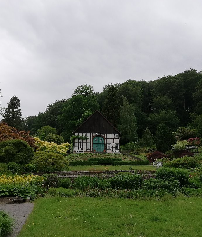 Bielefeld Botanical Garden景点图片