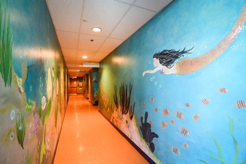 The ACT Arts Centre-枫树岭必去景点