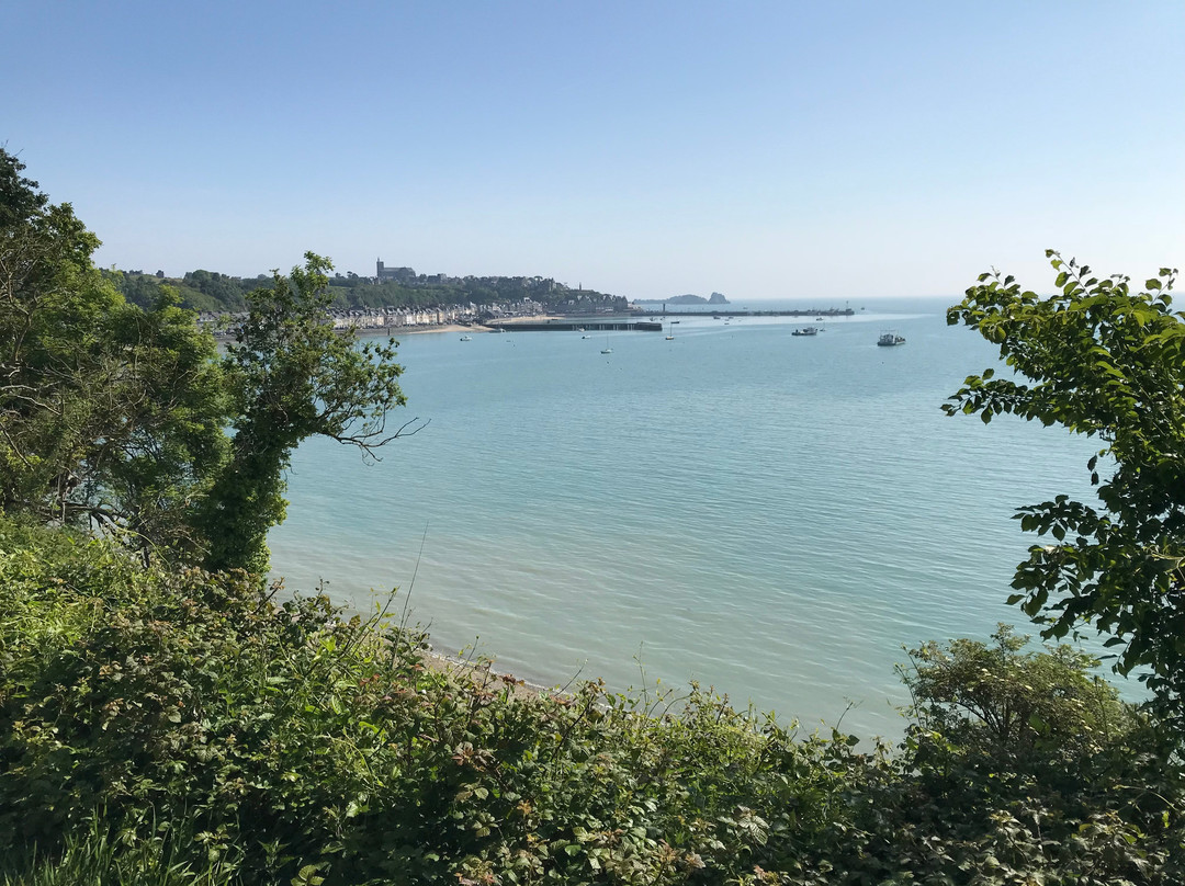 Le Vivier-sur-Mer旅游攻略图片