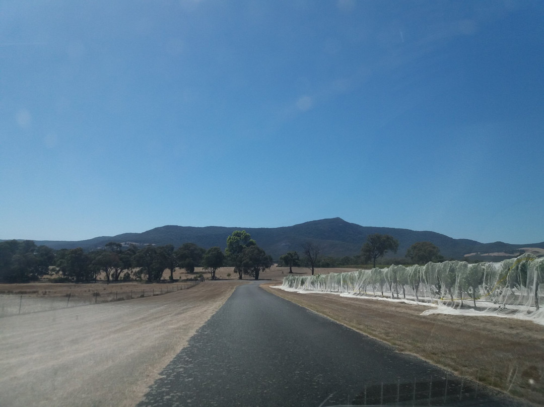 Mount Langi Ghiran-Buangor必去景点