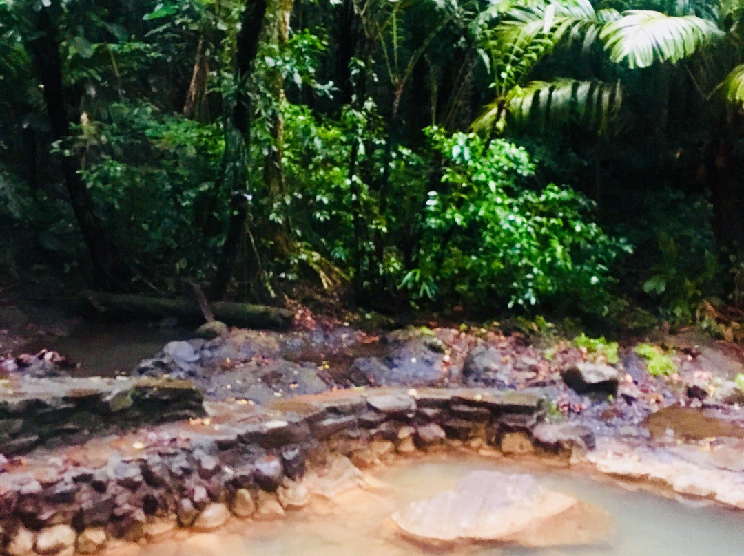 Termales del Bosque Hot Springs-San Rafaeillo必去景点