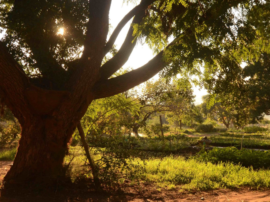 Random Harvest Country Cottages主图