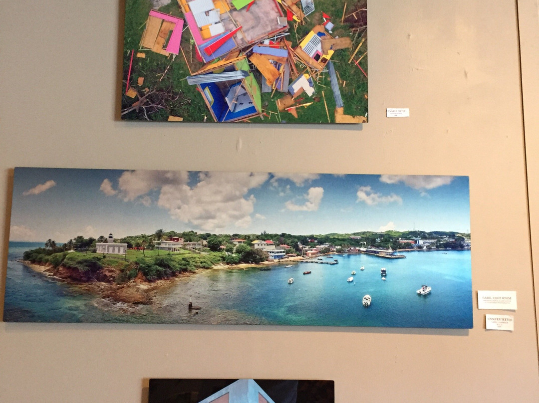 Siddhia Hutchinson Fine Art Gallery-维切克岛必去景点