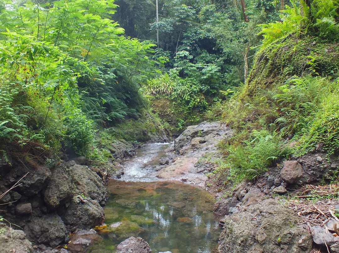 Bombaim Waterfalls景点图片