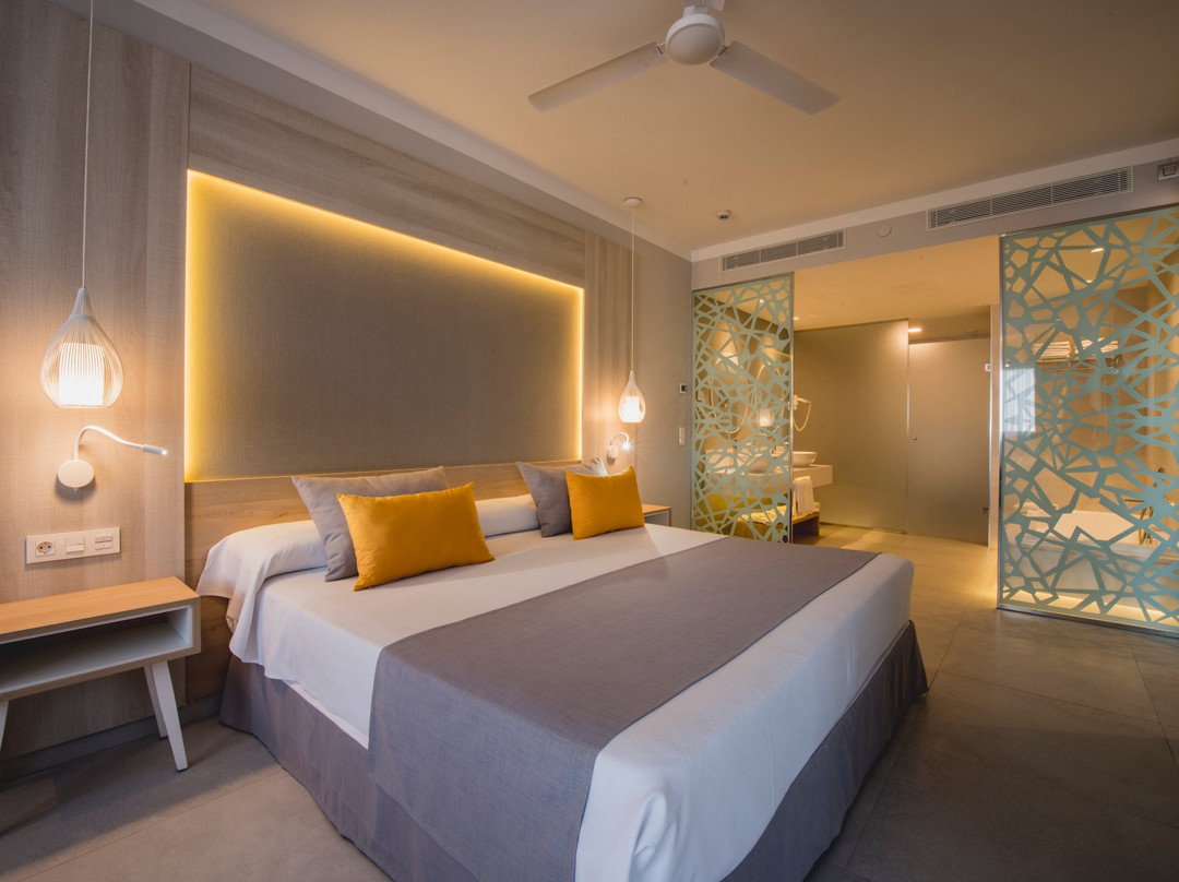 Bahia Principe Fantasia Tenerife主图