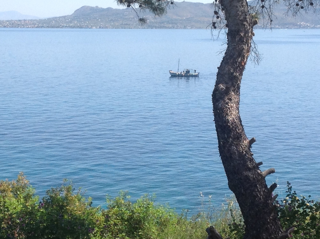 Agistri Club Hotel主图