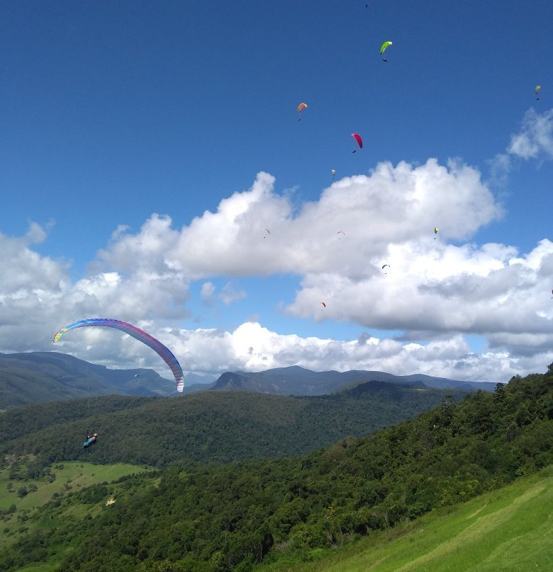 Rosins Lookout Conservation Park景点图片