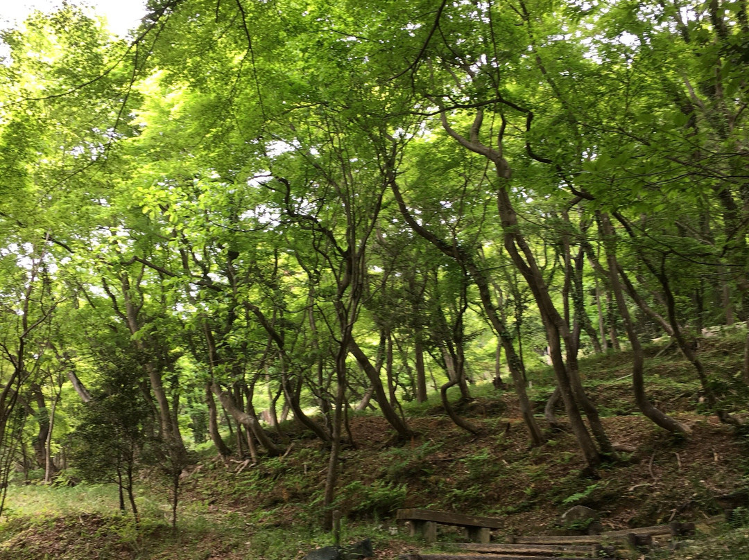 Mt. Tomiyama-相生市必去景点