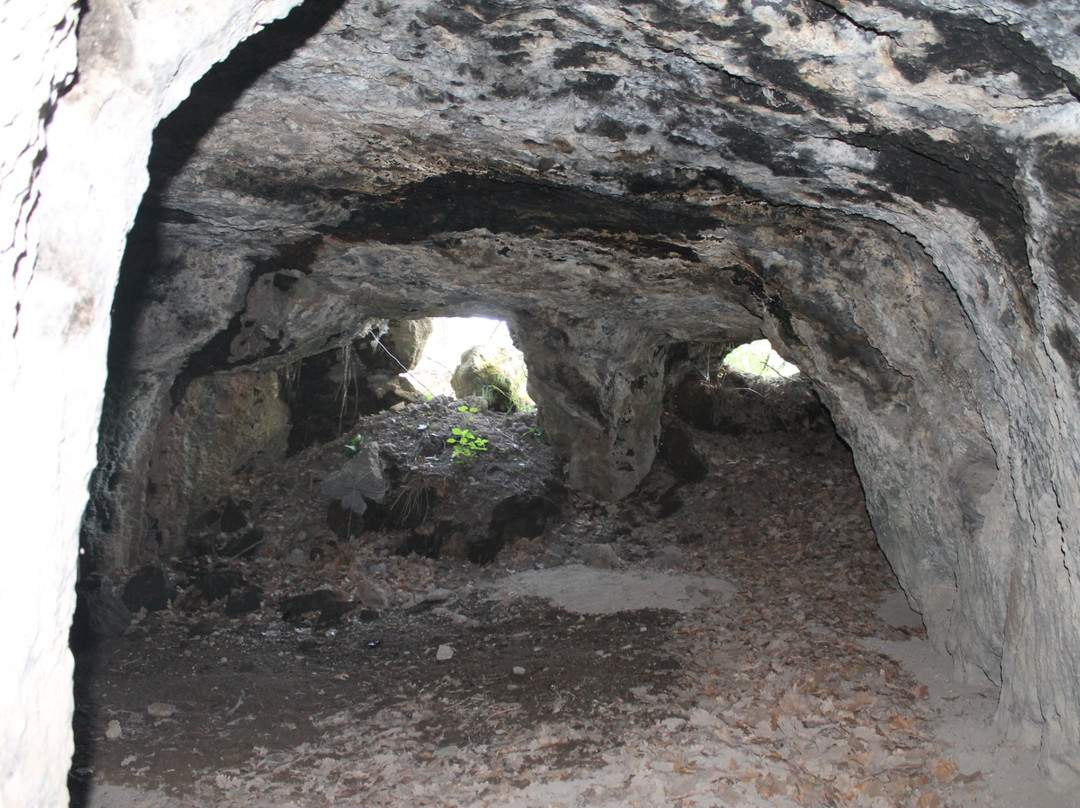 Grotte di San Lorenzo景点图片