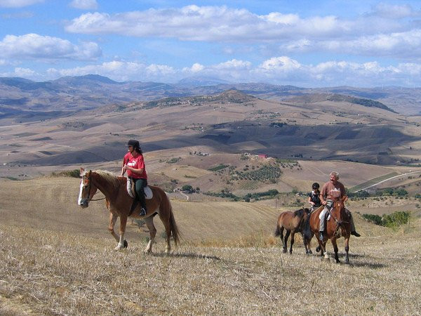 Horse Riding at Pippa's Paddock景点图片