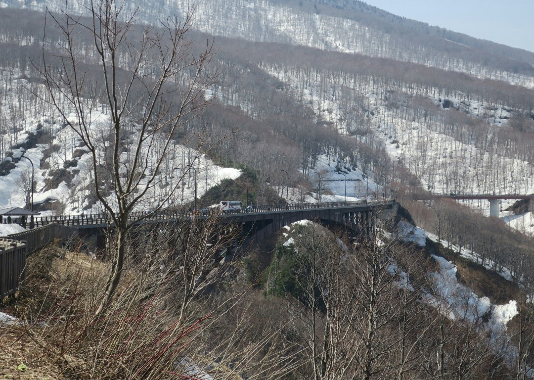 Jogakura Stream景点图片