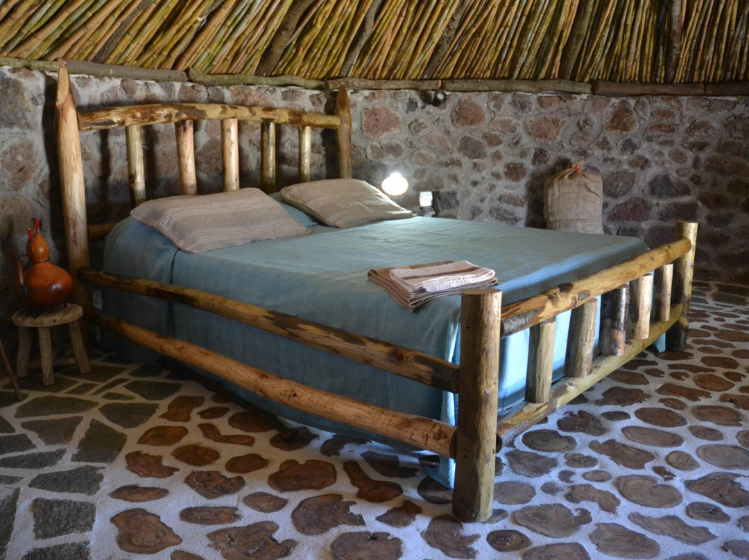 B&B Antica Botte Sassari主图