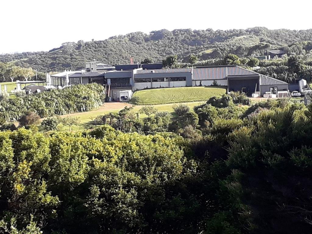 Cable Bay Views-酒店景观