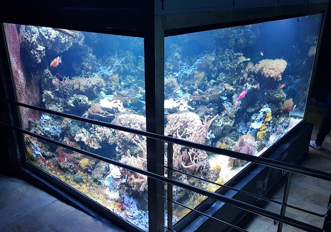 Acuario de la Universidad de Murcia-穆尔西亚必去景点