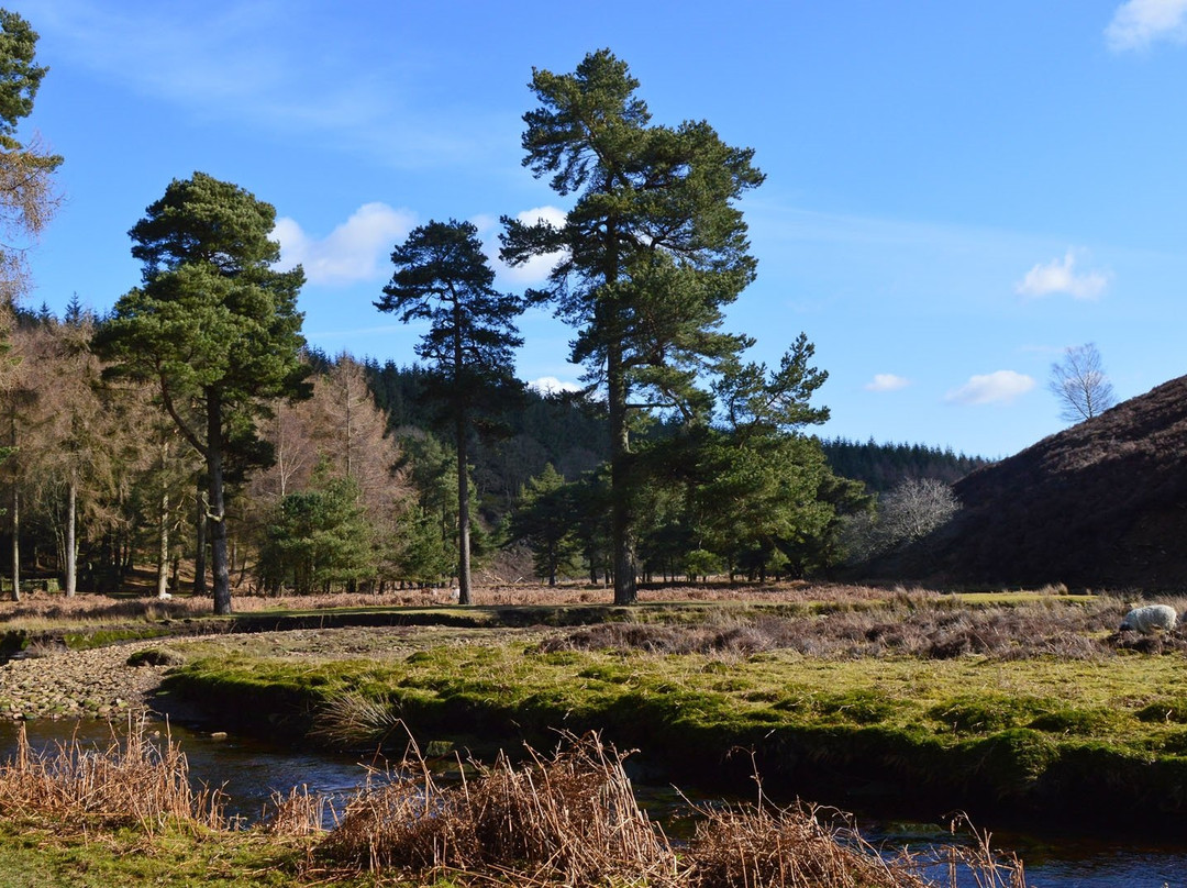 Derwent Visitor Centre景点图片