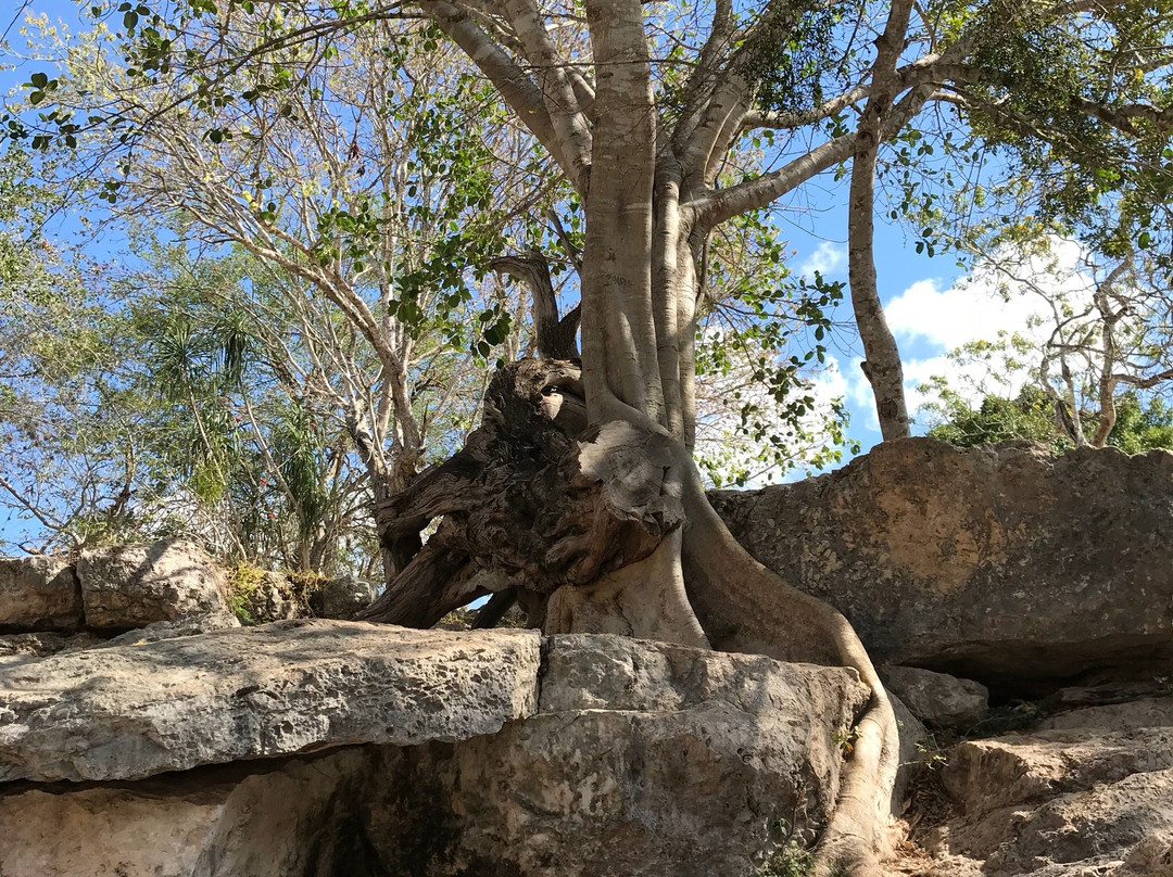 Cenote Xlacah-梅里达必去景点