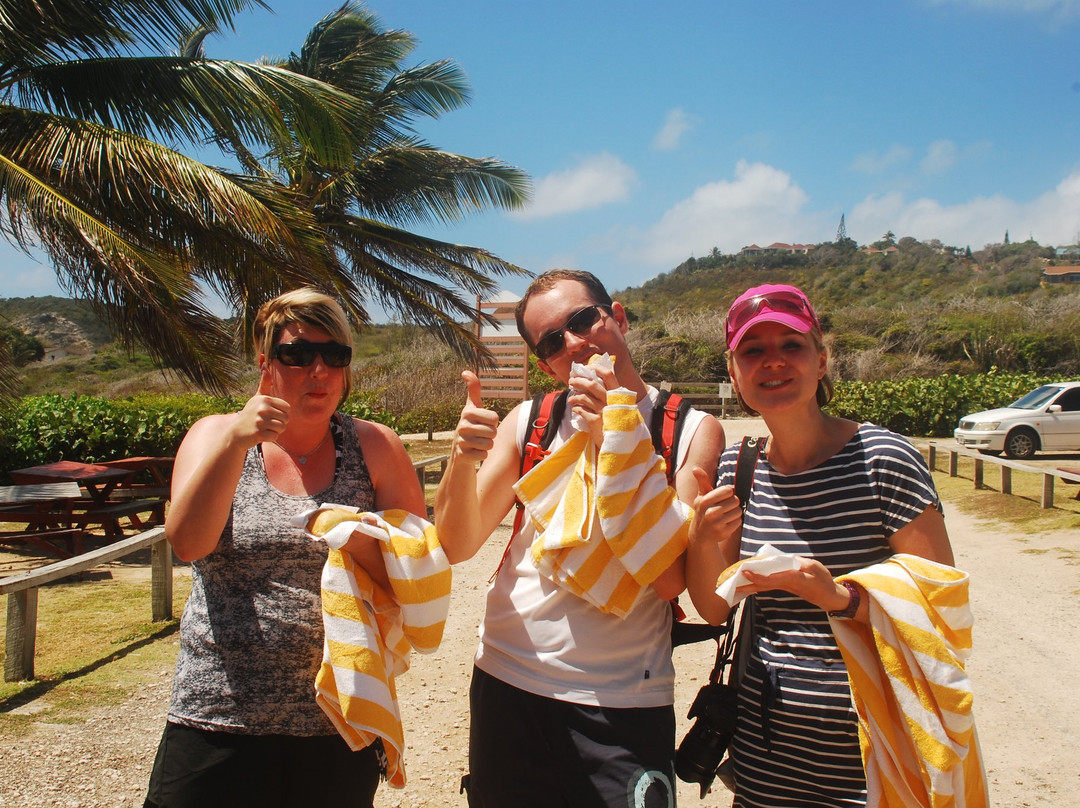 365 Beaches-圣 约翰必去景点