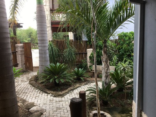 Beyond the Boma主图