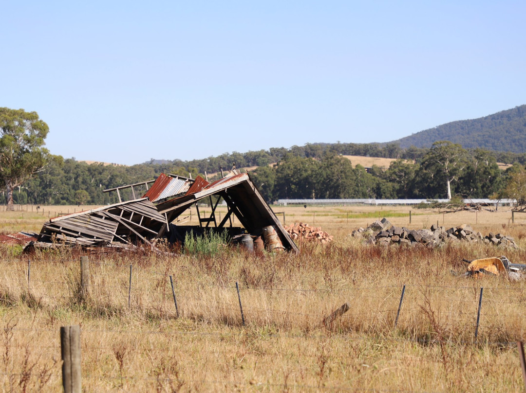 Lilydale to Warburton Rail Trail景点图片