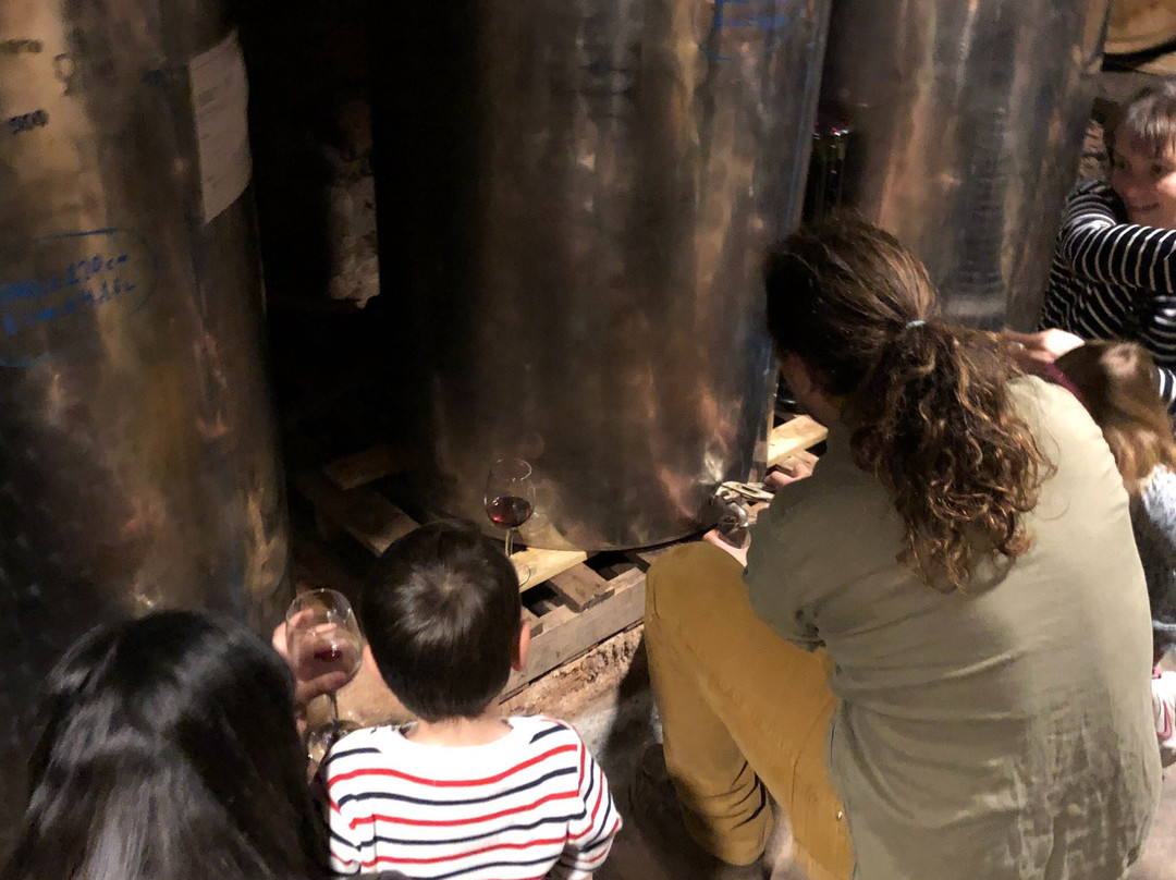 Bodega Sirot-托雷利亚斯-德略布雷加特必去景点