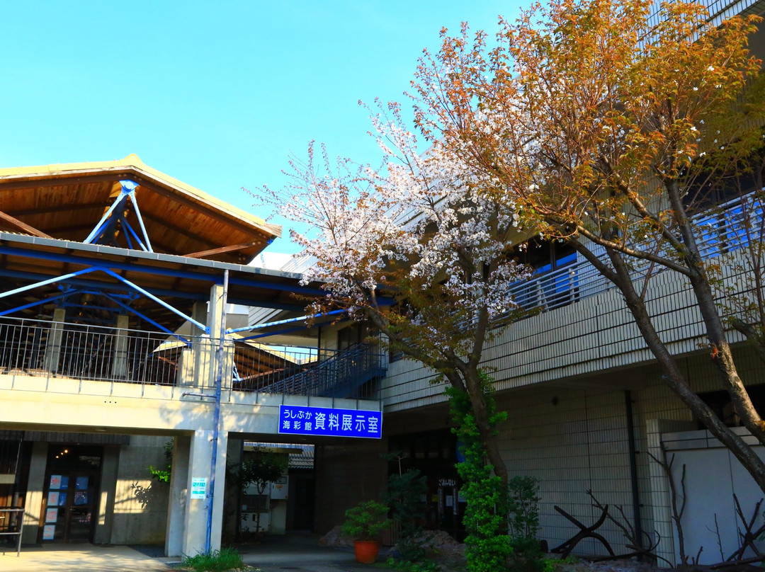 Michi-no-Eki Ushibuka Kaisaikan-天草市必去景点