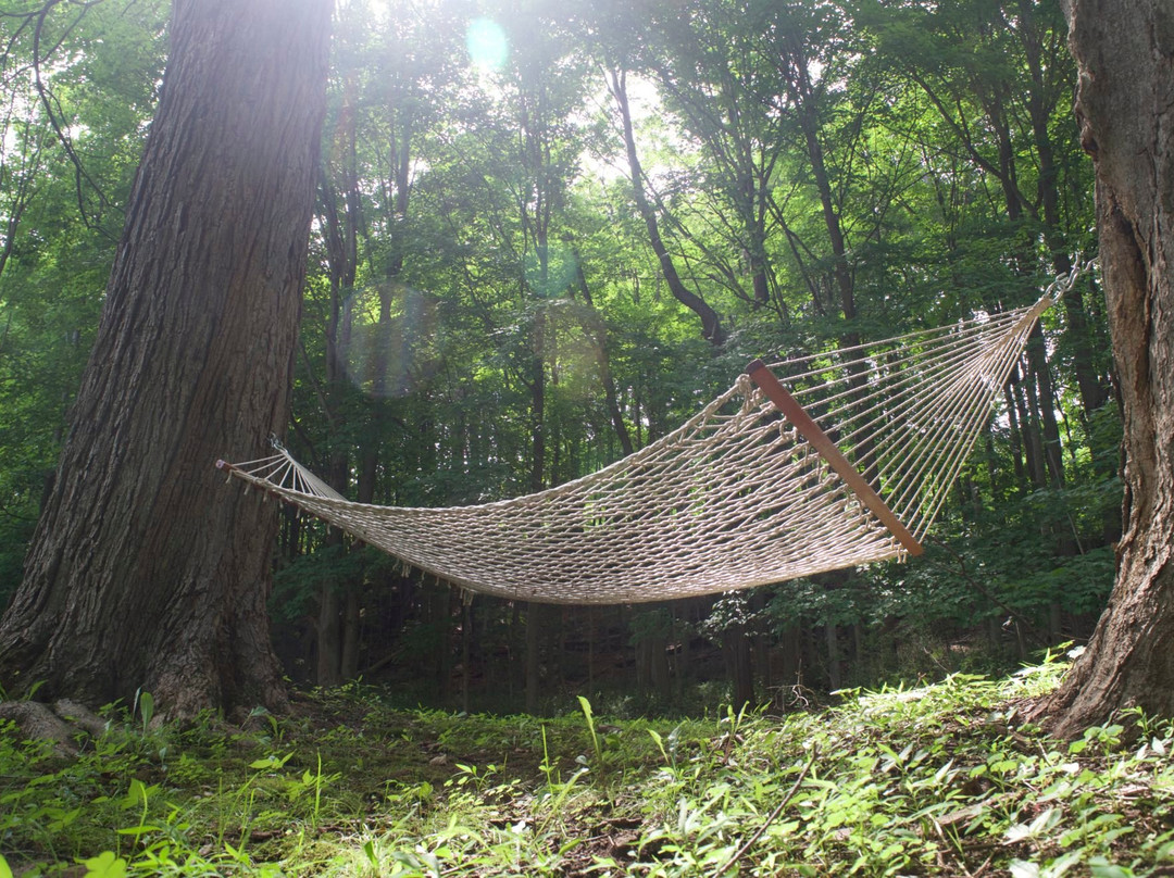 The Pawling House Bed & Breakfast主图