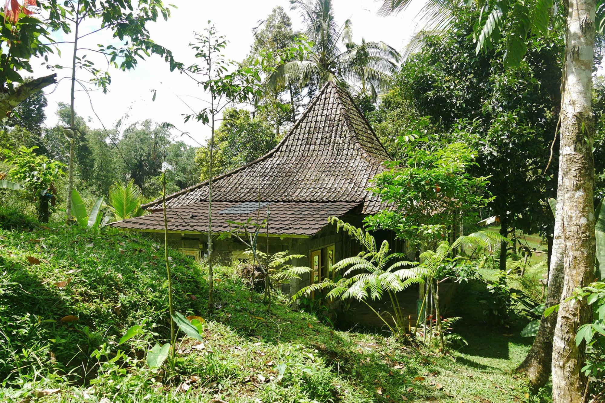 Tepi Sawah Lodge & retreat-浴室