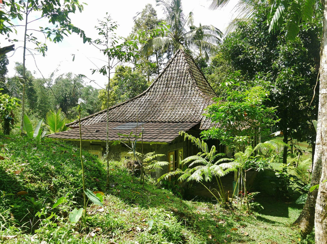 Tepi Sawah Lodge & retreat主图