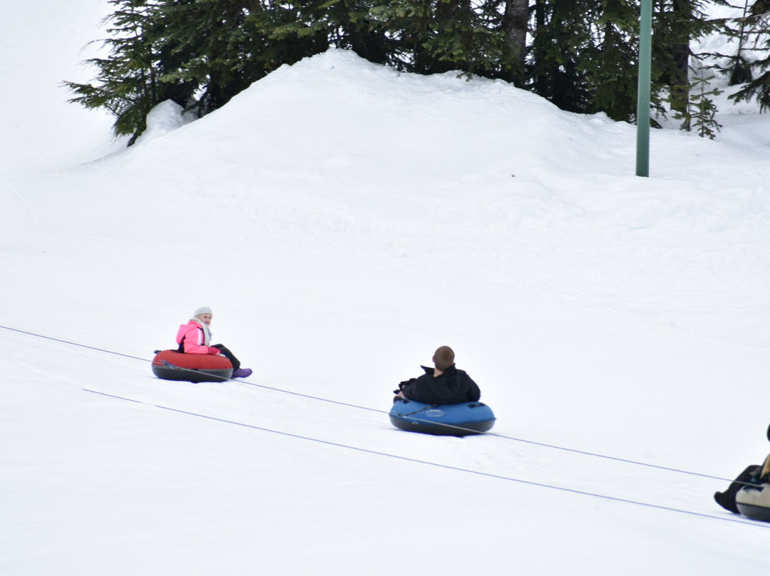 Manning Park Resort景点图片