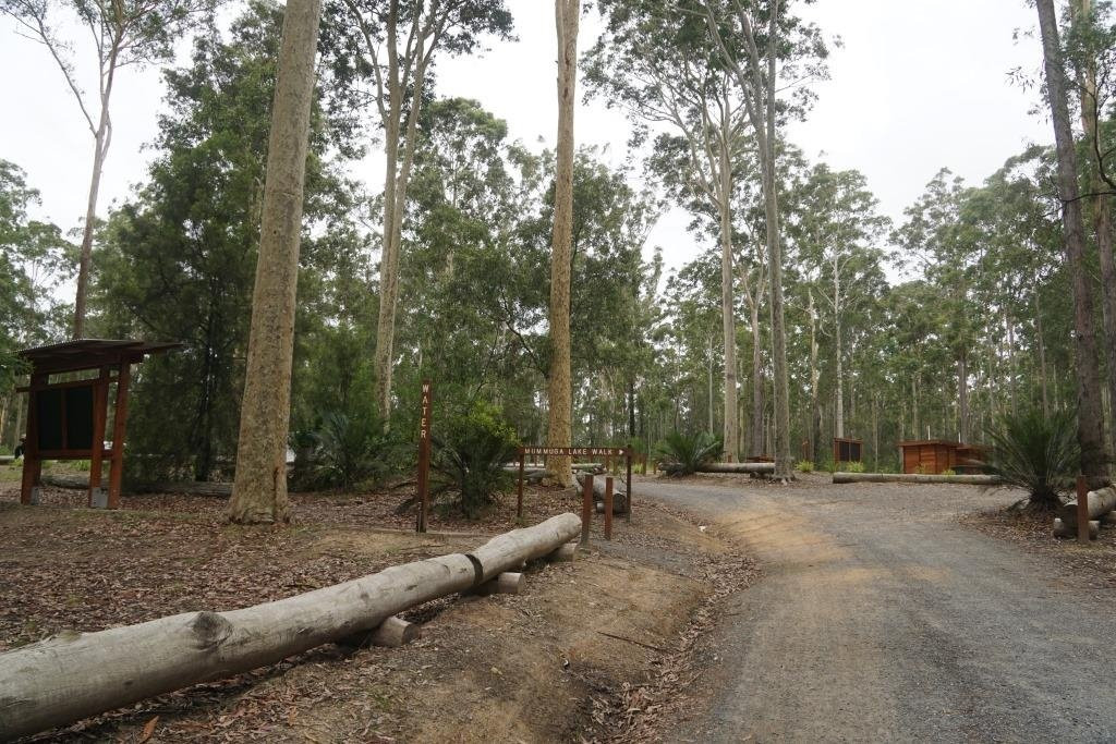 Bodalla Forest Rest Area-Bodalla必去景点