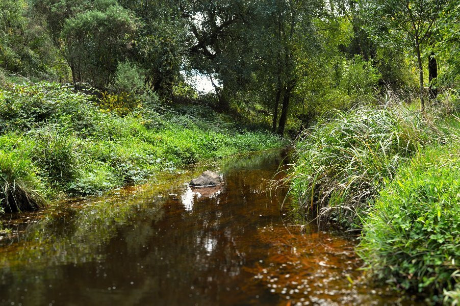 West barwon reservoir-Forrest必去景点