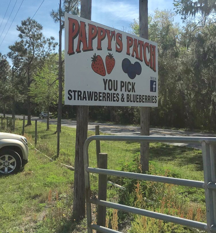 Pappy's Patch U-Pick Strawberries-Oviedo必去景点