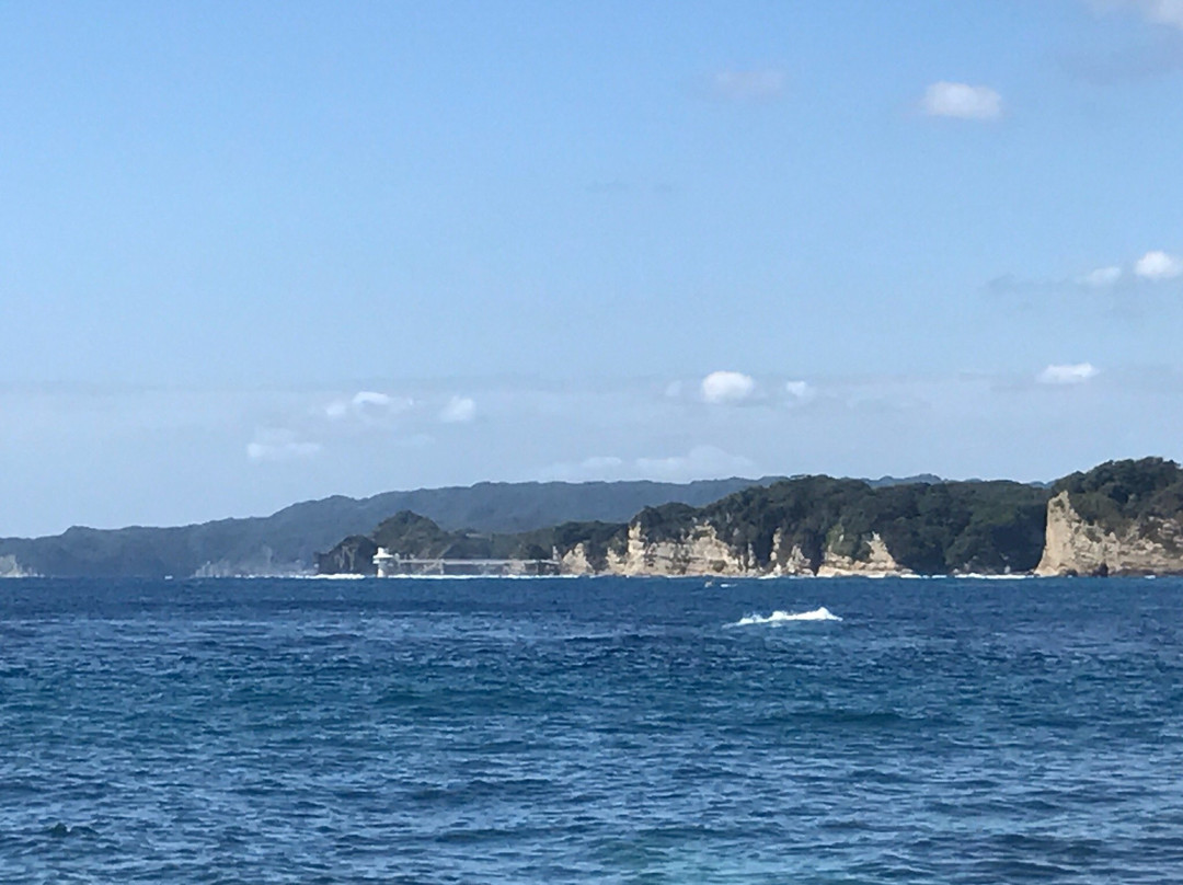 Katsuura Marine Harbor景点图片