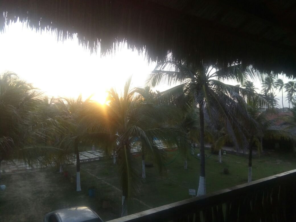 A Toca do Bem-Te-Vi主图