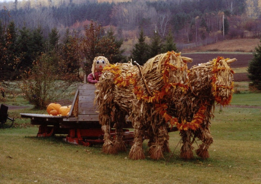 Gammondale Farm-Slate River Valley必去景点