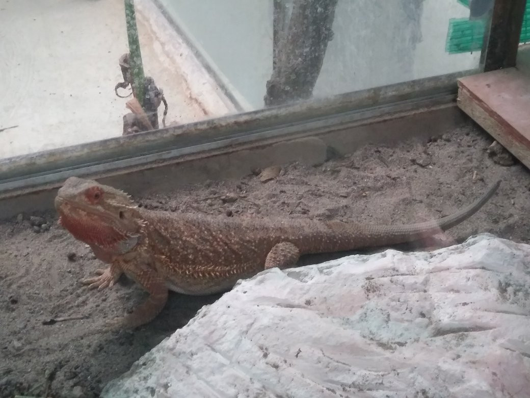 La Totorilla Centro Ecologico Recreacional-Ayacucho必去景点