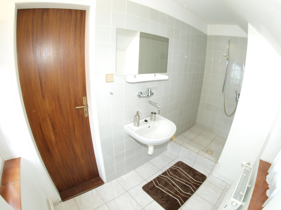 Penzion V Horach主图