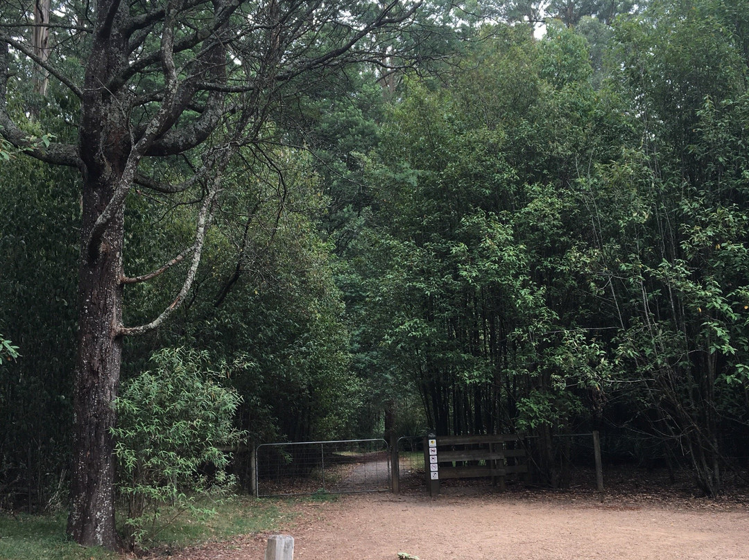 O'Donohue Picnic Ground-希尔布鲁克必去景点