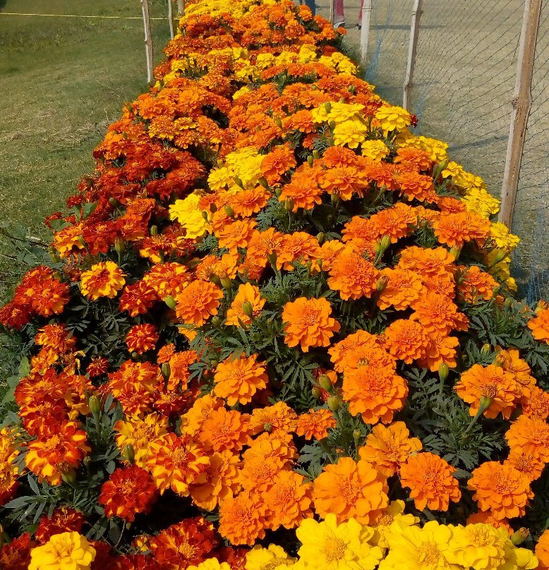 Parimalkanan Park-Midnapore必去景点