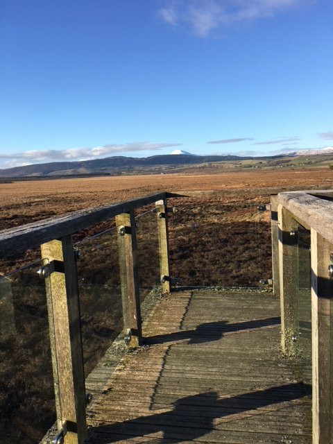 Flanders Moss National Nature Reserve景点图片