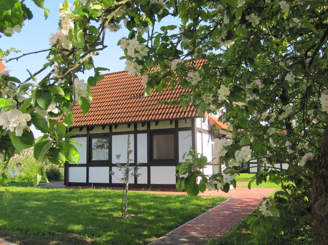 Ferienhaus Nordland主图