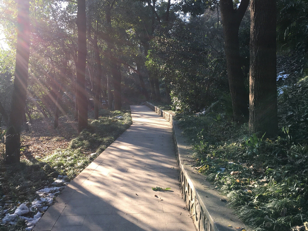 宝塔山公园-镇江市必去景点