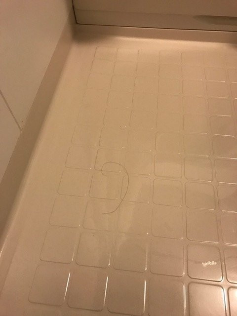 贝尔格兰德酒店主图