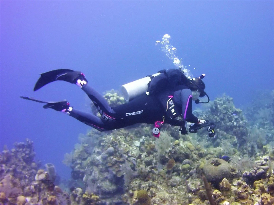 Project Scuba-Killeen必去景点