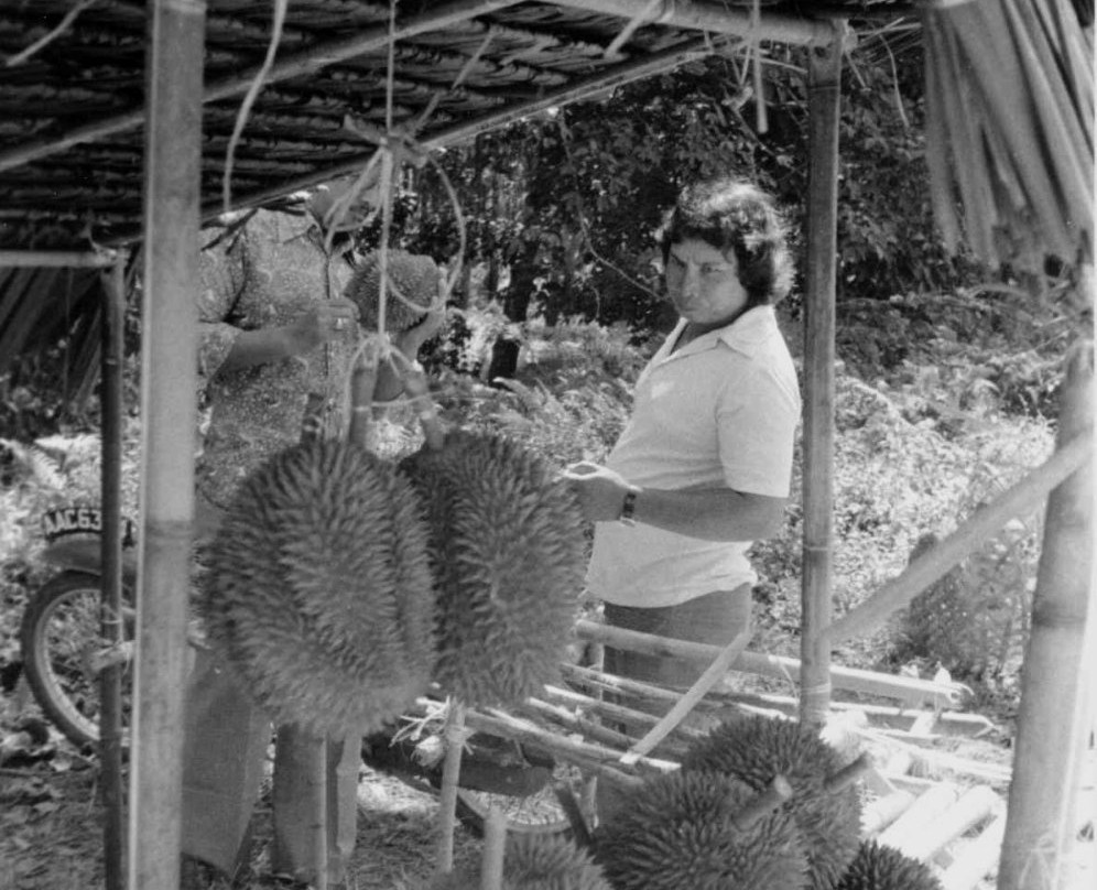 Tanjong Malim旅游攻略图片