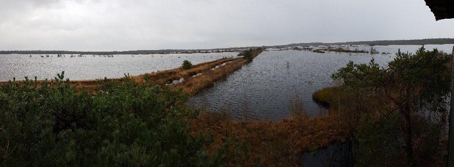 Tister Bauernmoor-Tiste必去景点