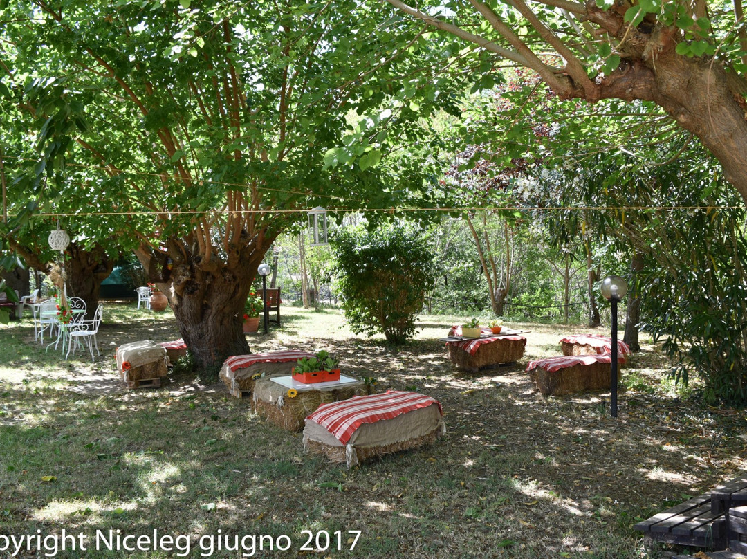 Agriturismo Al Mandorlo