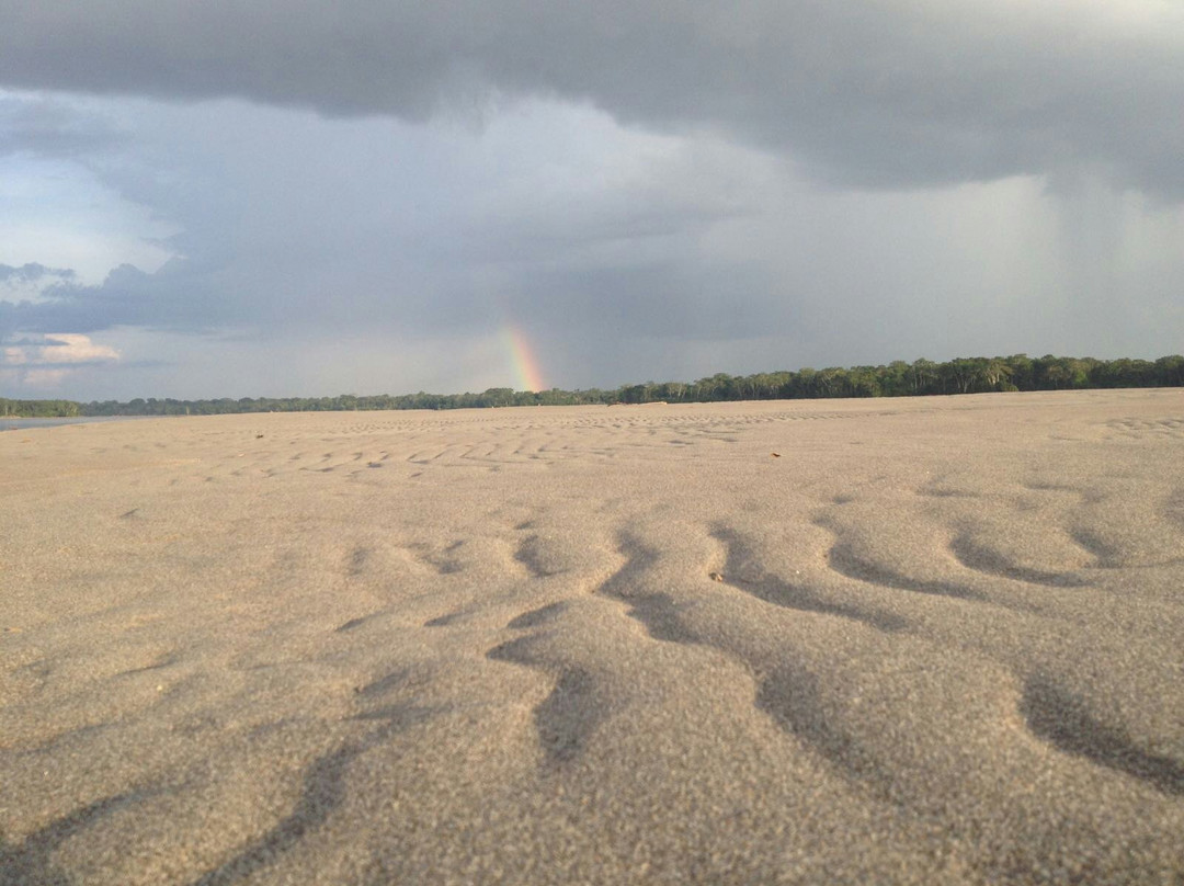 Llikchary Amazon-Coca必去景点